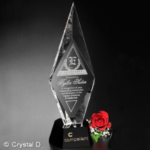 Chaska Award 11"