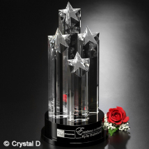 Constellation Award 14"