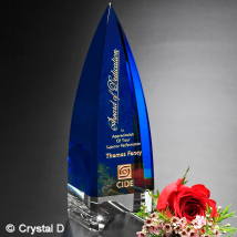 Culmination Indigo Award 9"