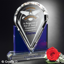 Distinction Award 10-1/2"