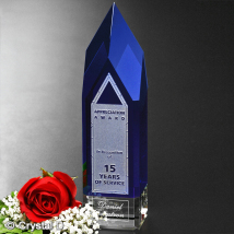 Monolith Indigo Award 9"