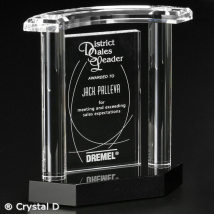 Vanessa Award 8"