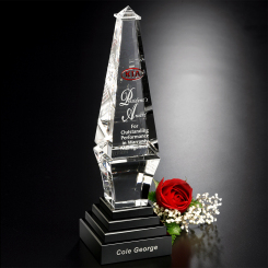 Epitome Award 9" Image