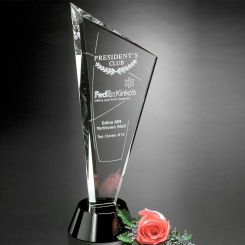 Invincible Award 14" Image
