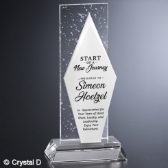 Triton Award 9-1/2"