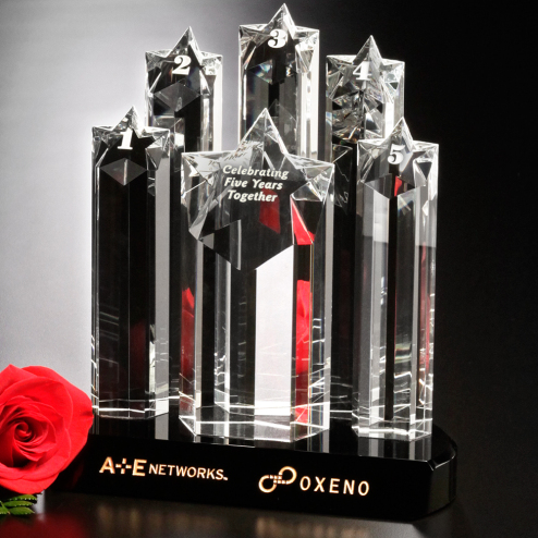 Prominence Award 9"